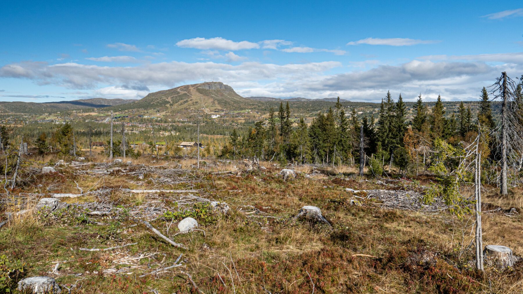 Kjoslia Arena Skeikampen — bilde 18