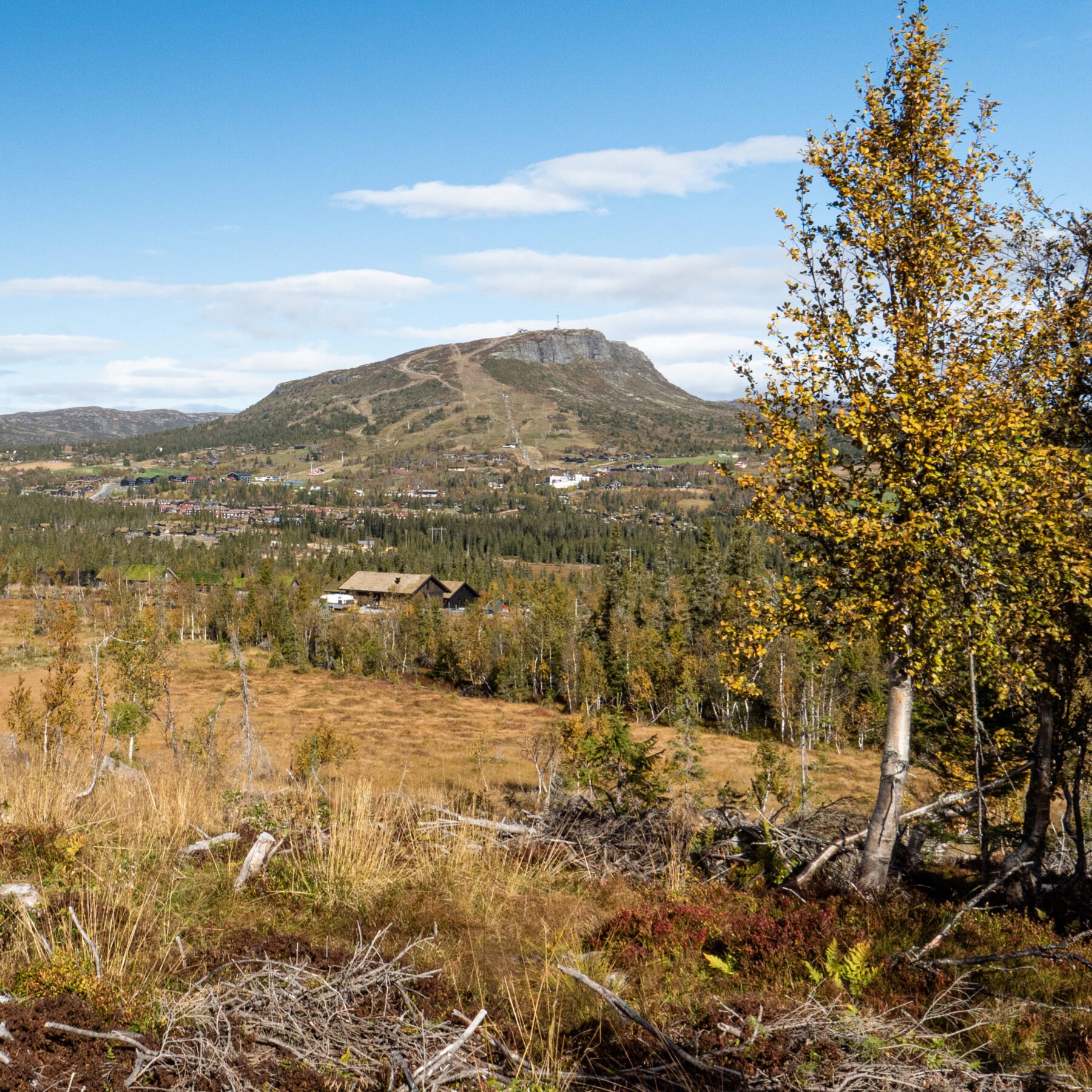 Kjoslia Arena Skeikampen — bilde 17
