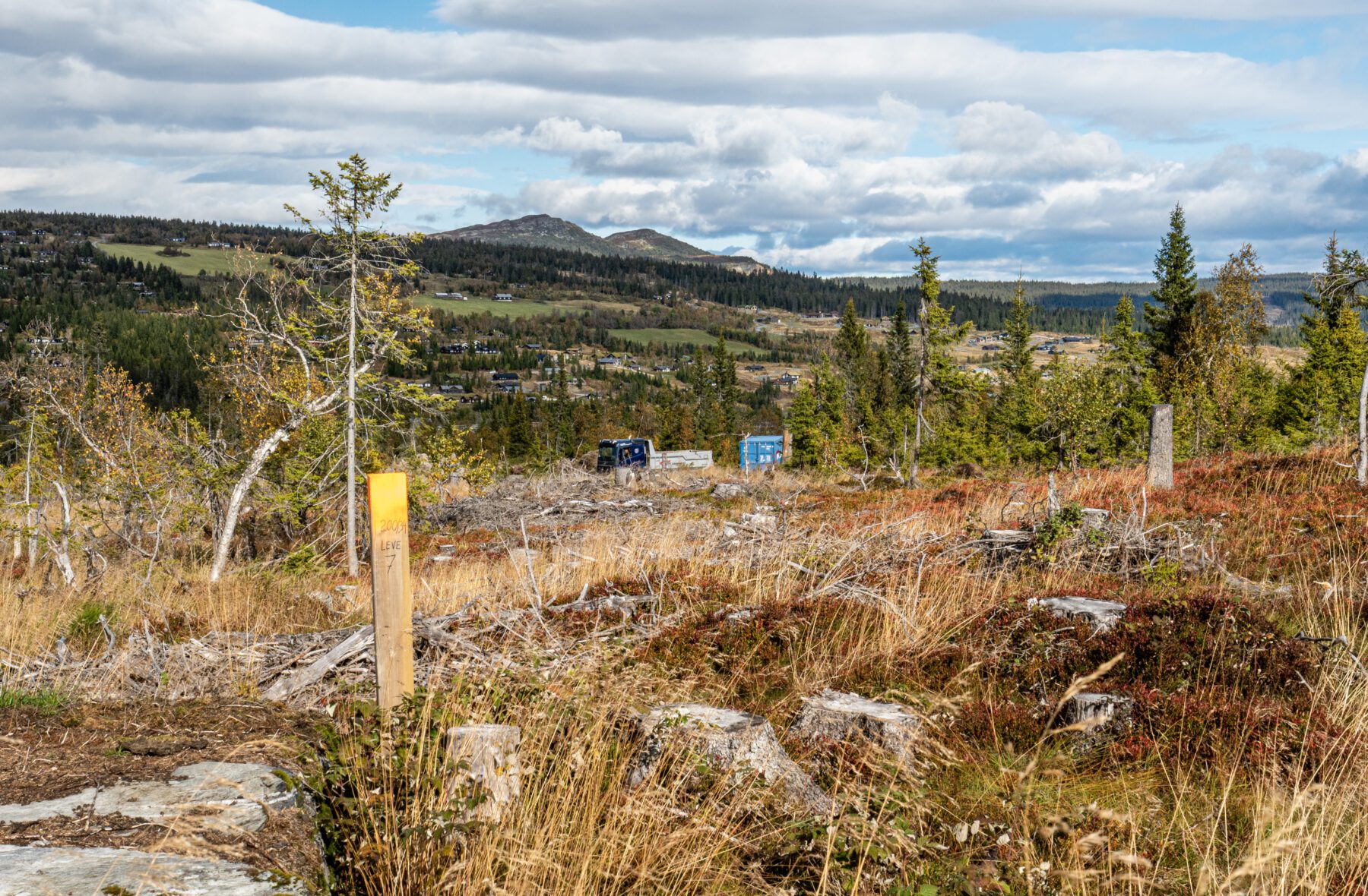 Kjoslia Arena Skeikampen — bilde 21