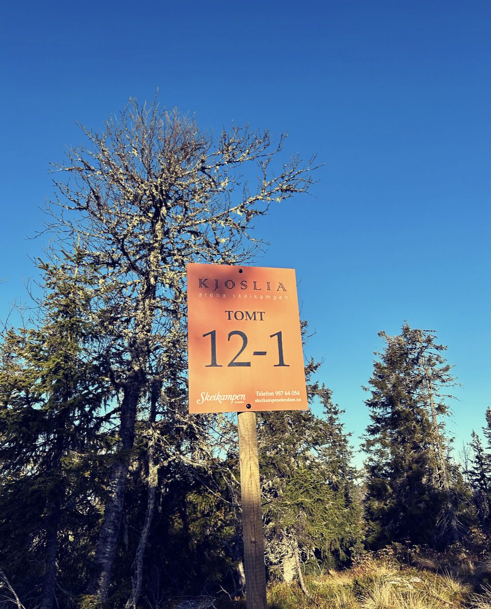 Toppen av Kjoslia — bilde 1