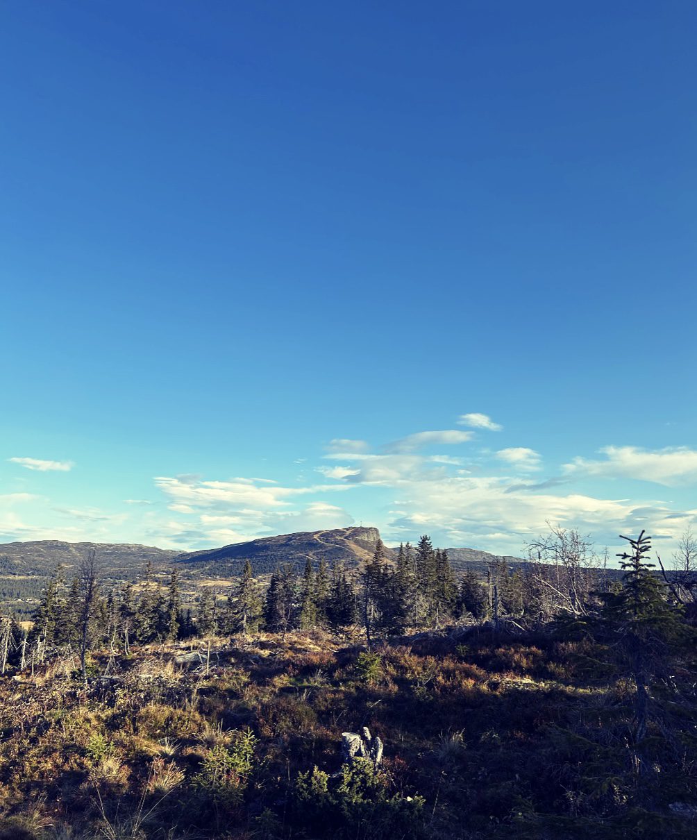 Toppen av Kjoslia — bilde 2