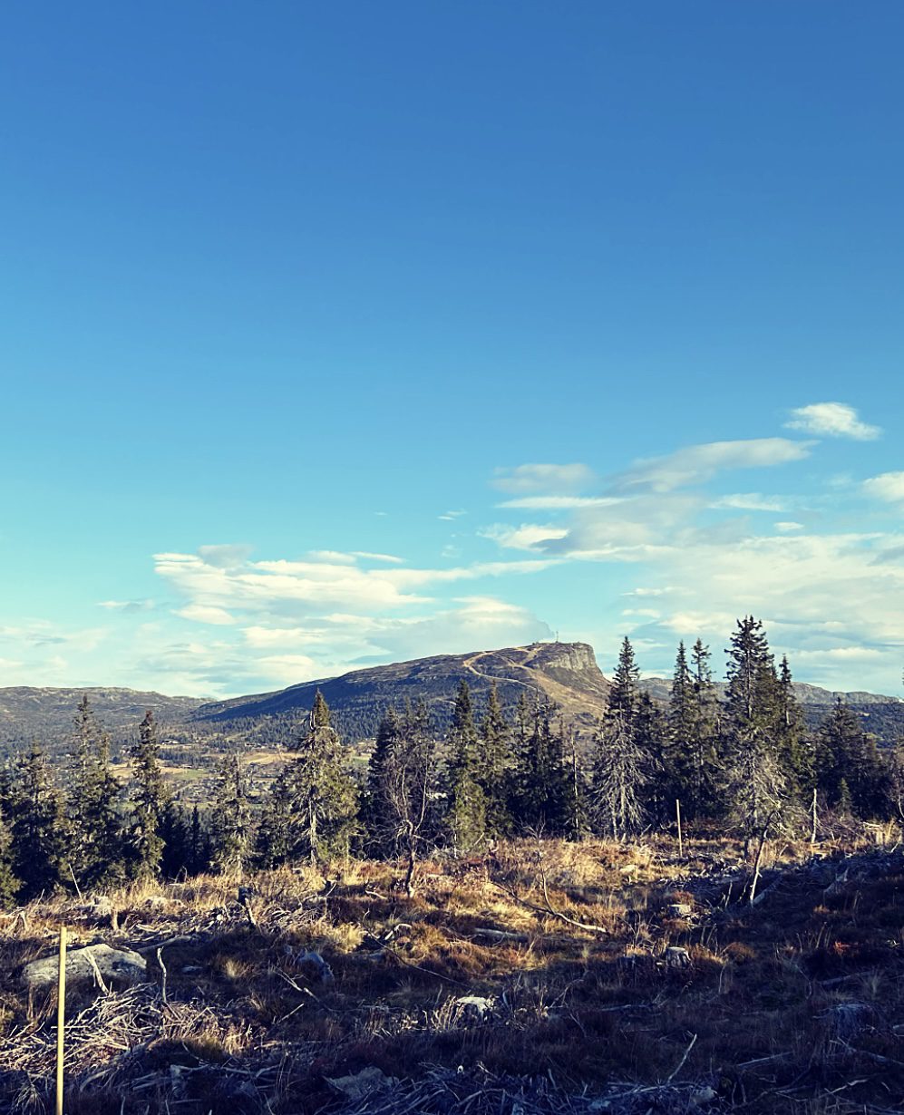 Toppen av Kjoslia — bilde 3