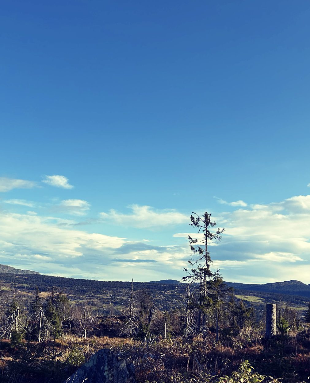 Toppen av Kjoslia — bilde 4