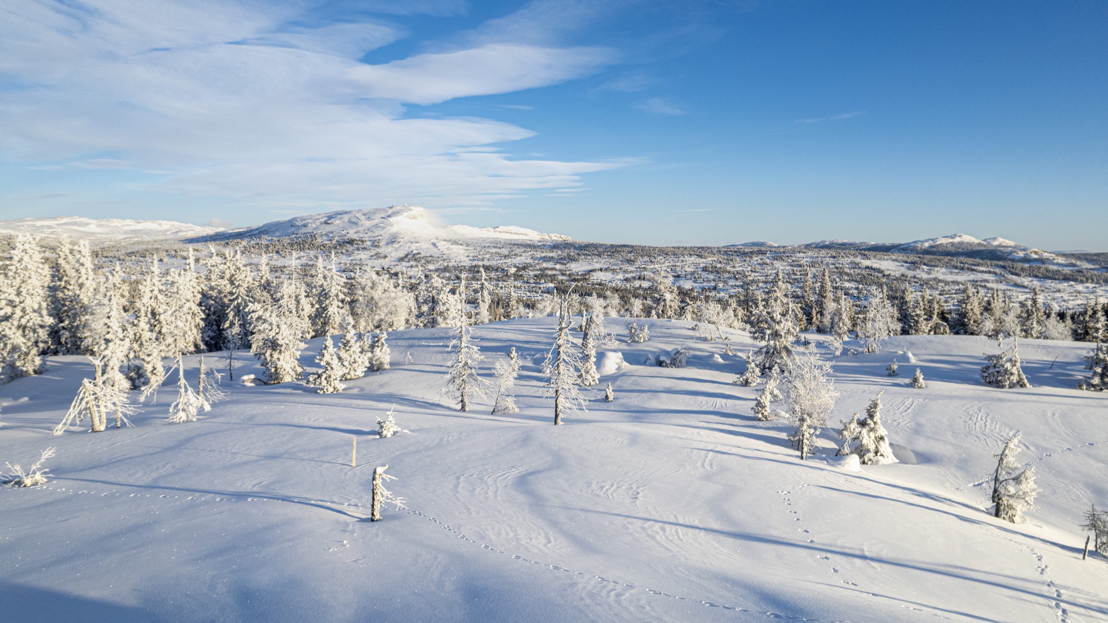 Toppen av Kjoslia — bilde 6