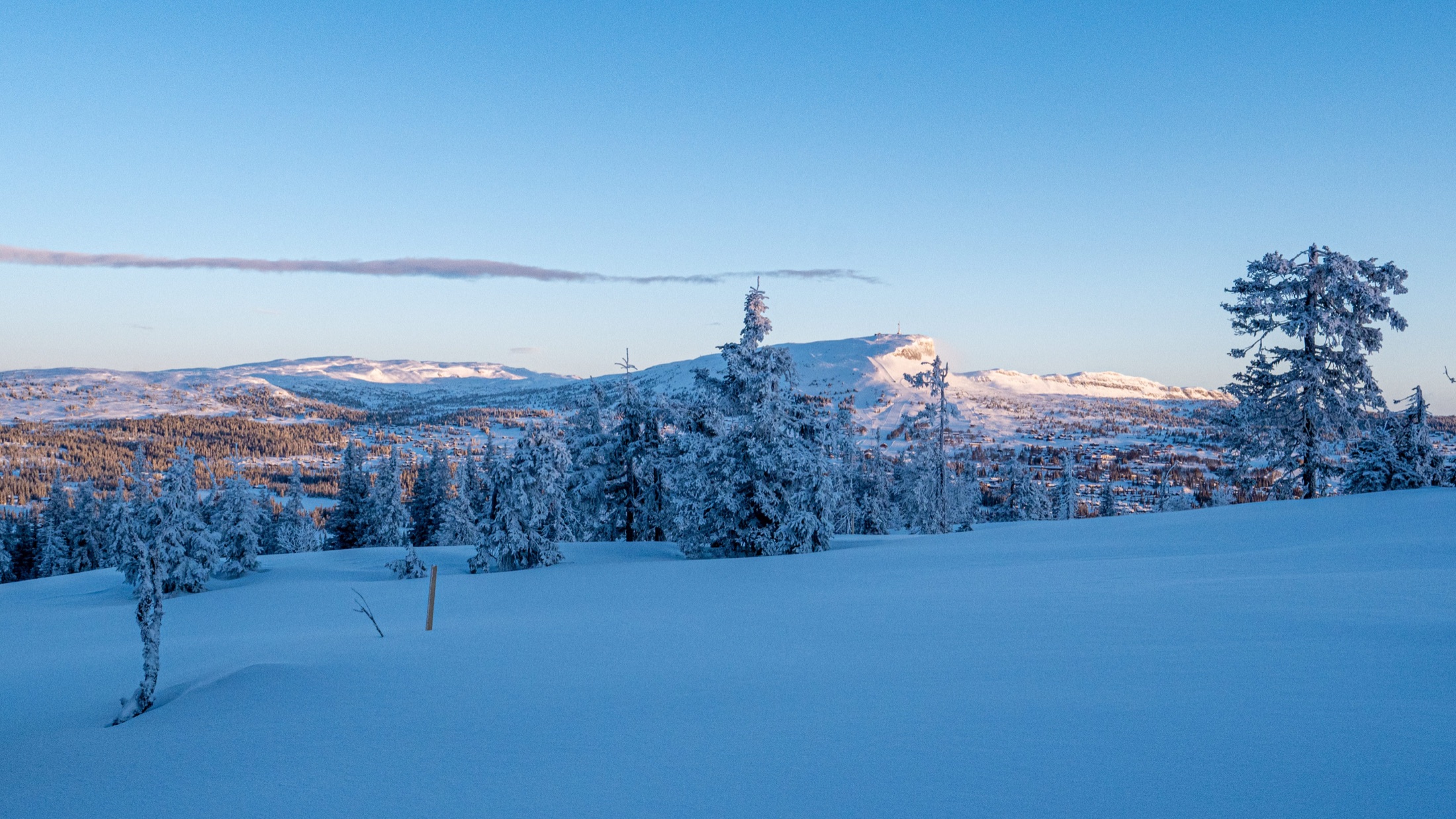 Toppen av Kjoslia — bilde 7