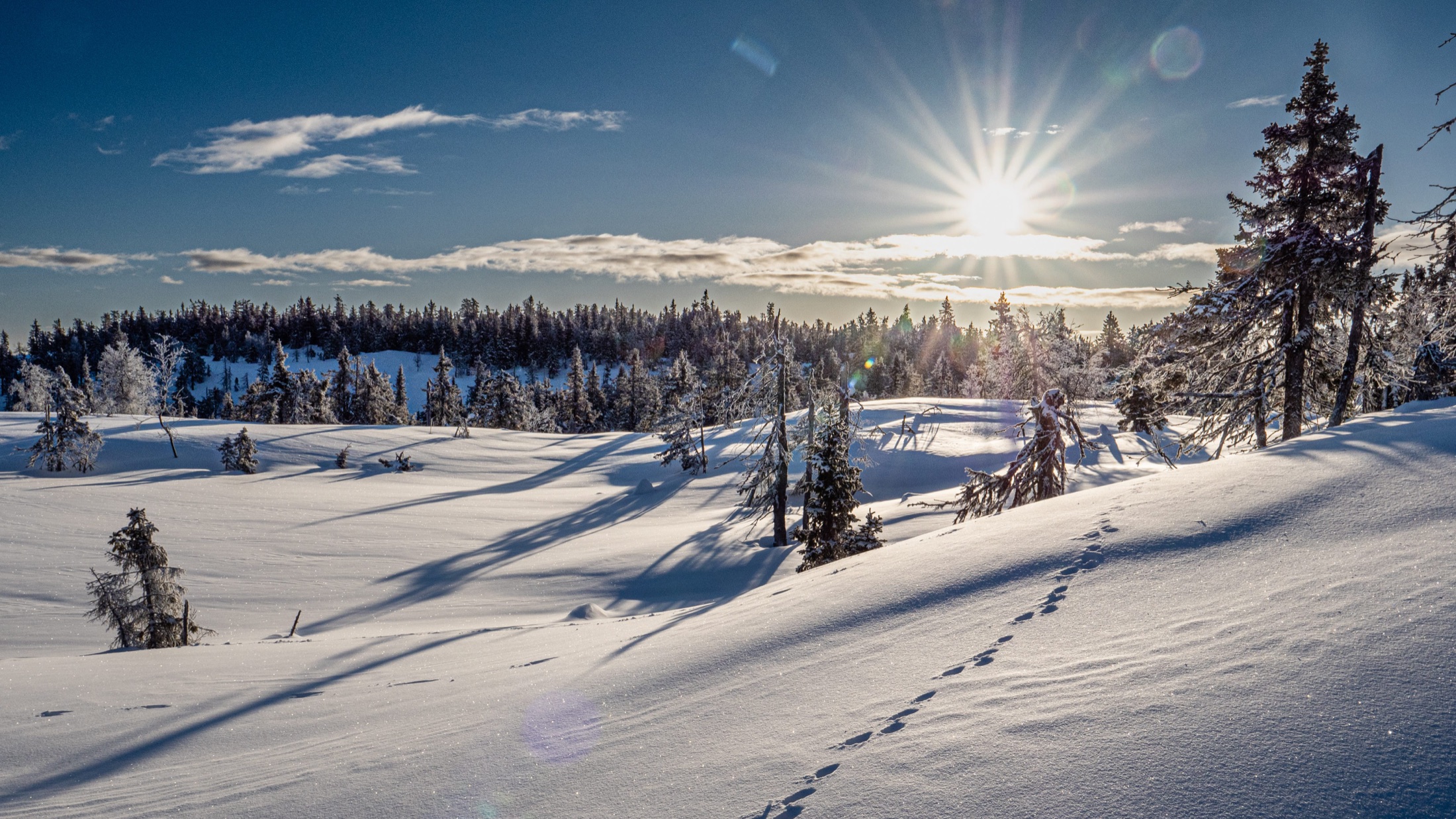 Toppen av Kjoslia — bilde 8