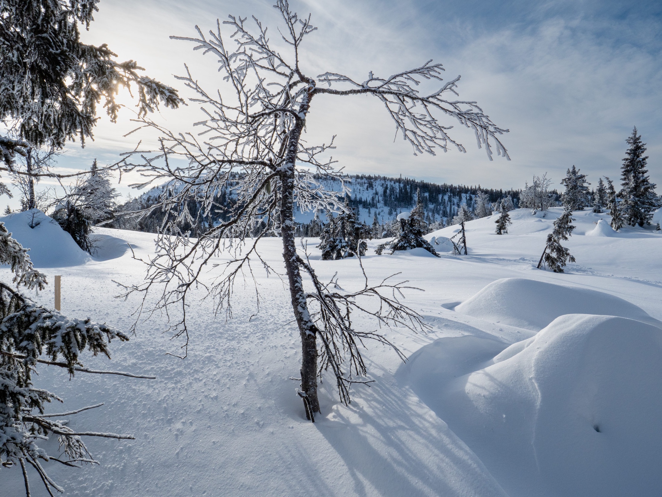Toppen av Kjoslia — bilde 10
