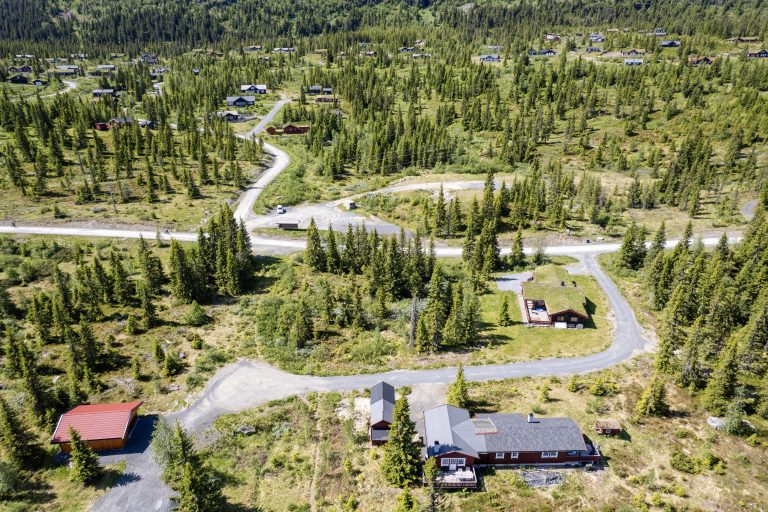 Frøyeseter hyttegrend